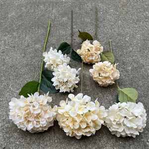 Fleurs artificielles en soie couleur champagne LO-627, fleurs neutres couleur champagne pour événements et centres de table DIY - Product Image 2