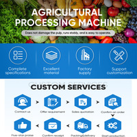 Hoge Kwaliteit Automatische Fruit- en Groente Sorteermachine Commerciële Ui Sorteermachine 304 RVS 2-10 Ton Capaciteit