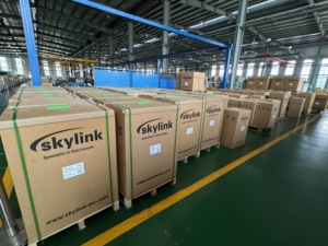 <span class=keywords><strong>Skylink</strong></span> ปั๊มไดอะแฟรมที่ทำงานด้วยอากาศขนาด1-1/2นิ้ว SF40อาหารเกรดนิวเมติก aodd ปั๊มสำหรับการบำบัดน้ำเสีย - Product Image 6