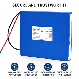 Batterie lithium-ion ternaire 22,2 V 45,5 Ah pour robots AMR, stations d'alimentation portables et équipements de surveillance industrielle - Product Image 3