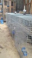 Cage de poulet carrée enduite de PVC Offre Spéciale pour coqs de coqs armure toile maille de maillon de chaîne coupe personnalisée pliage de soudage