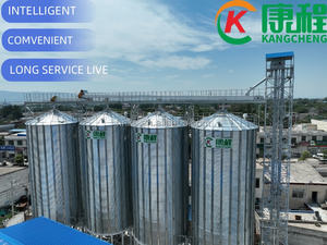 Torre <span class=keywords><strong>de</strong></span> Alimentación Pequeña <span class=keywords><strong>de</strong></span> Acero Inoxidable, Silo <span class=keywords><strong>de</strong></span> Grano Doméstico para Uso en Granjas Avícolas - Product Image 5