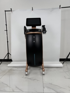 Máquina Estética Multifuncional con Puntas de Cuchilla (1.5/3.0/4.5mm), Cabezal de Pistola y Almohadillas Termoformadoras – Lifting, Reafirmación, Reducción de Arrugas - Product Image 6