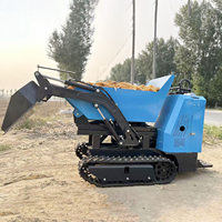 Mini-Raupendumper für die Landwirtschaft – Kettenmotor-Baustellenkipper mit kostenlosem Versand, inklusive Raupenlader-Getriebe und Kernkomponenten