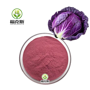 Estratto Concentrato di Brassica Oleracea, 10% Antocianine, per Colorazione Alimentare e delle Bevande - Product Image 3