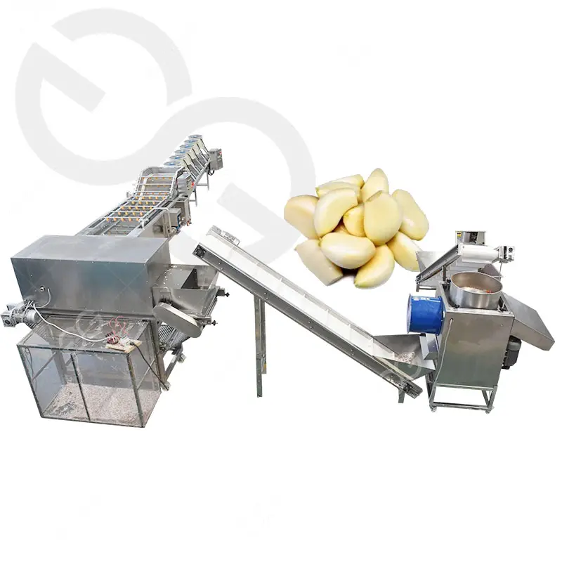 Gelgoog 산업 마늘 피부 제거 필링 기계 마늘 필링 및 건조 생산 라인