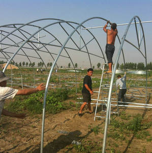 Grande allée agricole en acier inoxydable <span class=keywords><strong>2022</strong></span>, type d'arc, écartement, serre verte à vendre - Product Image 5