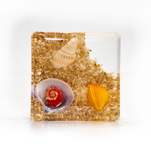 Ornamenti in resina fai da te decorazione estiva da tavolo vera stella di granchio di mare in resina fermacarte souvenir - Product Image 6