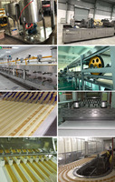 Machine automatique de fabrication de gâteaux suisses blancs prix machine de cuisson de gâteaux pour l'usine