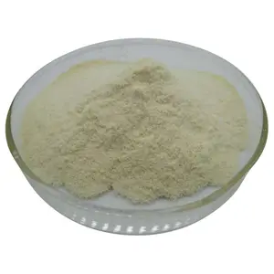 Hot Selling Wholesale whey protein isolate powder manufacturer