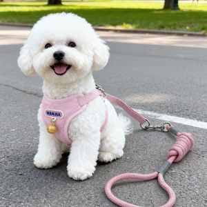 वैंजिया पालतू जोड़ी डबल-लेयर सादे जाल कुत्ते का दोहन, गैर विषैले घंटी, समायोज्य, छोटे और मध्यम कुत्तों के लिए एंटी-एस्केप - Product Image 5