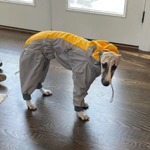 Traje Impermeable <span class=keywords><strong>para</strong></span> Perros de Raza Hound, Impermeable <span class=keywords><strong>para</strong></span> Galgos - Product Image 2