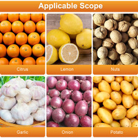 Mijn automatische knoflook sorteermachine, fruit- en aardappelsorteermachine, dadelwas- en sorteermachine