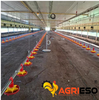 Système automatique d'alimentation et d'abreuvement pour volailles avec moteur italien Transtecno pour élevages de poulets de chair, pondeuses et reproducteurs