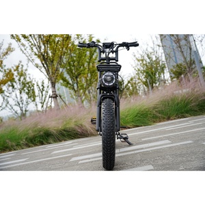 Vitesse chinoise Zerogo gros pneu Ebike VTT électrique Cube <span class=keywords><strong>Fatbike</strong></span> V20 Momo vélo électrique inclus - Product Image 2