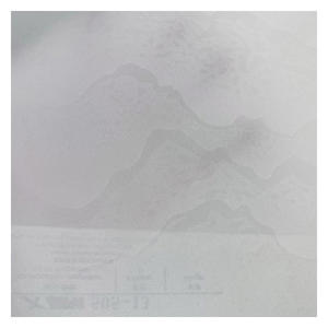 Stock d'usine bon marché <span class=keywords><strong>tissu</strong></span> de rideau en polyester brodé transparent pour le salon - Product Image 1