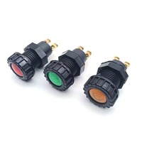 Interruptor de Luz Indicadora para Automóvil de Cobre de Uso General, Clasificación IP67, 25A 230V, Conector Automotriz