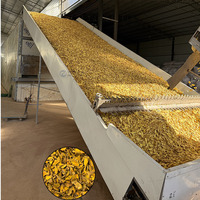 Automatische productielijn voor het reinigen, snijden en drogen van verse gember, inclusief een gember-snijmachine met gaasbanddroger.