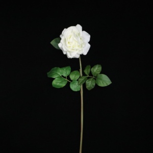 <span class=keywords><strong>Rosa</strong></span> <span class=keywords><strong>Rosa</strong></span> 2 bud 1 Seta Tessuto a Fiori English Rose Fiore Artificiale per <span class=keywords><strong>la</strong></span> Cerimonia Nuziale Centrotavola - Product Image 5