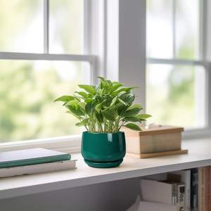 Pots à plantes en céramique écologiques de 4 pouces - Petit pot moderne avec trou de drainage pour plantes succulentes et fleurs, pour le jardinage à domicile - Product Image 5