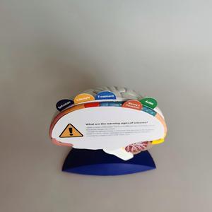 Modelo Anatómico del Funcionamiento del Cerebro Humano con Tarjetas Educativas - Modelo de Enseñanza de Regiones Cerebrales y Convulsiones para Educación Médica - Product Image 3
