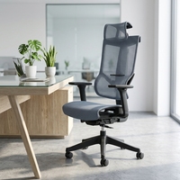 Ofis Mobilyası Modern 3D Kolçaklı Ayarlanabilir Tam Fileli Yüksek Sırtlı Yönetici Ofis Ergonomik Sandalyesi