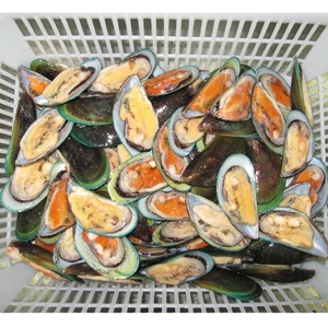 Buona Qualità di Vendita Calda Congelati Mezzo Guscio Verde Cozze - Product Image 1