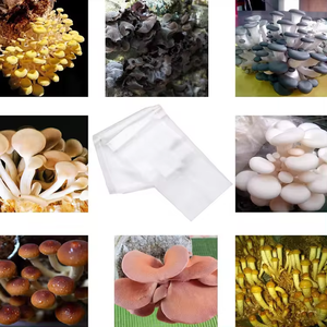 Nouveaux sacs de culture de substrat de champignons respirants et résistants en fibres végétales biodégradables innovants - Product Image 4