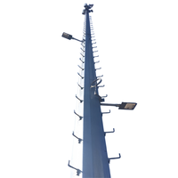 Poteau monopôle intelligent intégré de 15m et 20m, camouflage intégré, pour éclairage public et station micro-cellulaire 5G, pour l'aménagement urbain moderne