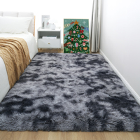 Tapis épais ultra-doux en peluche pour salon, chambre, baie vitrée, chevet, grand tapis de sol