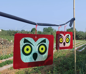 Disques répulsifs holographiques <span class=keywords><strong>pour</strong></span> oiseaux, écologiques, <span class=keywords><strong>pour</strong></span> effrayer <span class=keywords><strong>les</strong></span> <span class=keywords><strong>pigeons</strong></span>, dissuasifs réfléchissants <span class=keywords><strong>pour</strong></span> le jardin - Product Image 4