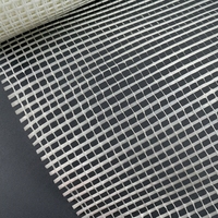 Maille en fibre de verre pour plâtre 5x5mm, rouleaux de maille en fibre de verre pour usage intérieur et extérieur