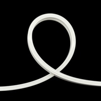 Bande LED néon flexible 6*12mm, étanche IP67, RGBIC Pixel Magic Color, 12V/24V, adressable, télécommande, CRI 90 élevé, dimmable
