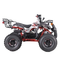 Tao Motor Vente à Chaud Enfants 110cc 125cc Tube en Acier Personnalisé Motos Automatiques 1000cc Polaris Atv Tambour Avant + Tambour Arrière 7 pouces