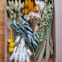 Buket bunga rumput Pampas kering buket Dekor Interior karangan bunga kering Mini buket pengantin pernikahan Boho alami
