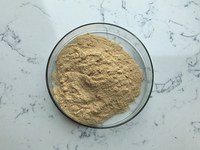 Extrait naturel de feuilles de romarin / myrtille (5%-98%) - Source d'acide ursolique en poudre
