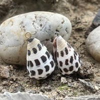 Coquillages coniques hébraïques naturels Conus Ebraeus, pendentif en acier inoxydable, breloques pour bijoux DIY, boucles d'oreilles Hawaï