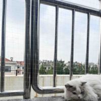Filet de protection anti-évasion pour chat en nylon transparent durable pour balcon intérieur