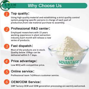 ผงอารบิกกัมเกรดอาหาร ราคาประหยัด สารเพิ่มความข้น สีขาว บรรจุถุง 25 กก. สำหรับใช้ในอุตสาหกรรมอาหาร - Product Image 4