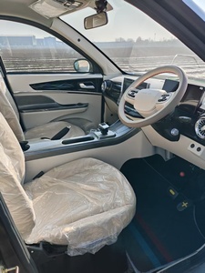 Mini Auto Elettrica SUV 3.5kw per Adulti, Guida a Destra, Nuova Energia, Qualità Migliorata - Product Image 3