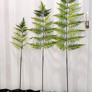 Simulación de ramas de helecho <span class=keywords><strong>Ricitos</strong></span> de oro Hojas de helecho artificial Gran simulación de plantas verdes - Product Image 4