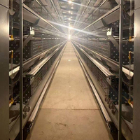 Bonne conception Cages automatiques en batterie pour poules pondeuses équipement d'élevage avec système d'abreuvement automatique pour ferme avicole