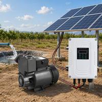 Pompe solaire auto-amorçante série SZB 750W, pompe à eau solaire haute pression pour l'irrigation agricole et l'approvisionnement en eau domestique