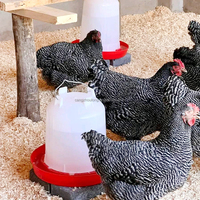 Abreuvoirs et mangeoires pour volailles YYX LM74, 7 capacités différentes, abreuvoir à eau pour poulets en plastique blanc et rouge avec bouteille