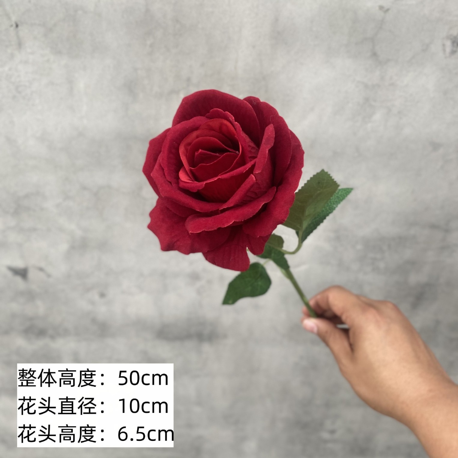 Dark red acacia rose