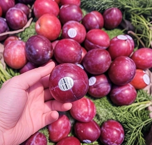 Autocollant adhésif en vinyle étiquette alimentaire personnalisée pour fruits - Product Image 1