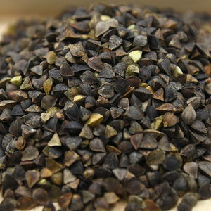 Alimento para pájaros de trigo sarraceno en cáscara 500g, snack natural para loros, palomas y pájaros pequeños - Product Image 1