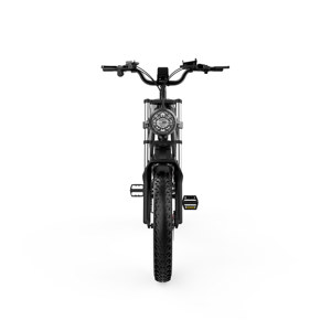 Vélo électrique longue portée L20 en stock UE, 48V 20Ah, 80Nm de couple, frein à disque hydraulique, Shimano 7 vitesses, E-Bike tout-terrain à pneus larges - Product Image 3