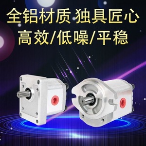 Pompe hydraulique Hsin Hung HGP-3A 6 11 14 17 23R 25 28 30R pour usage industriel - Product Image 4