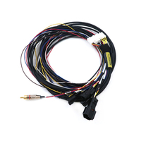YZCONN Usine Personnalisé Auto Fil Automobile Équipement Motos Électronique Équivalent Faisceau De Câblage Câble Assemblage